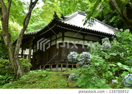 大阪池田市的圓寺 大阪池田市的圓寺 138780852