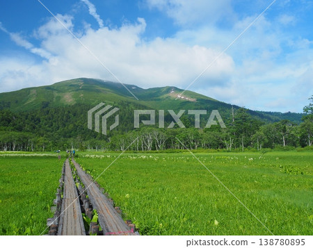 Summer Ozegahara and Mt. Foshan 138780895
