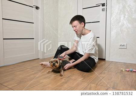 Brushing a small dog on the floor in a simple room during evening time Brushing a small dog on the floor in a simple room during evening time 138781532