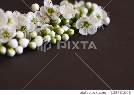 Delicate white flowers and buds arranged beautifully on a dark surface Delicate white flowers and buds arranged beautifully on a dark surface 138781608