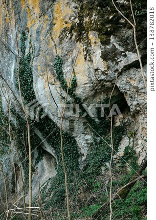 Rock cliff covered with ivy plants and small trees in forest landscape. Natural stone wall texture showing wild vegetation growth and concept of nature reclaiming rock surface Rock cliff covered with ivy plants and small trees in forest landscape. Natural stone wall texture showing wild vegetation growth and concept of nature reclaiming rock surface 138782018