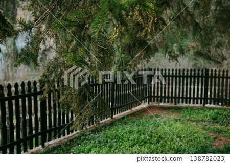 Green spruce branch hanging above wooden fence in forest landscape near Ribnica Monastery Serbia. Nature scene representing calm environment countryside peace and natural heritage Green spruce branch hanging above wooden fence in forest landscape near Ribnica Monastery Serbia. Nature scene representing calm environment countryside peace and natural heritage 138782023