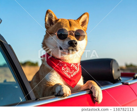 紅色敞篷車，戴著紅色頭巾的柴犬，以及湛藍的天空。 138782113