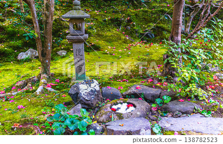 京都靈觀寺的花水池 京都靈觀寺的花水池 138782523