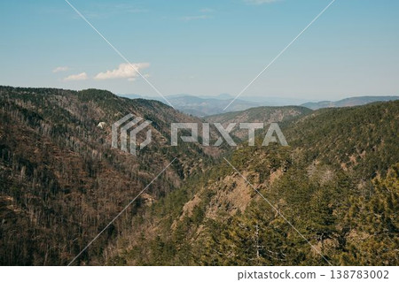Wide mountain valley covered with forest in Divcibare Serbia. Balkan nature landscape representing wilderness, tourism, hiking and environmental conservation Wide mountain valley covered with forest in Divcibare Serbia. Balkan nature landscape representing wilderness, tourism, hiking and environmental conservation 138783002