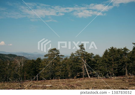 Wide mountain forest landscape with pine trees and distant Balkan mountains in Divcibare Serbia. Scenic natural woodland under blue sky with early spring vegetation 138783032