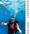 Woman scuba diving interacting with colorful fish underwater 138783428