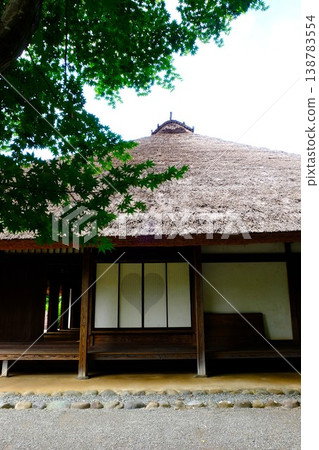 {Kanagawa Prefecture} Fresh green leaves of maple trees and old farmhouses 138783554