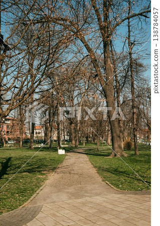 Tree lined pedestrian walkway crossing a calm urban green zone. Natural landscape inside the city used for walking, relaxation, and everyday outdoor life Tree lined pedestrian walkway crossing a calm urban green zone. Natural landscape inside the city used for walking, relaxation, and everyday outdoor life 138784057