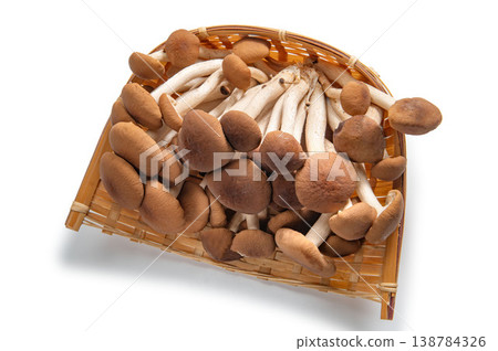 Willow matsutake mushrooms from Aoki Village, Nagano Prefecture Willow matsutake mushrooms from Aoki Village, Nagano Prefecture 138784326