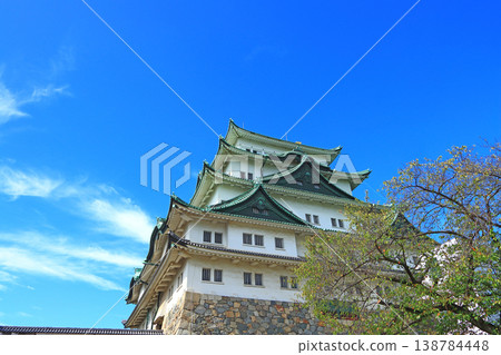 View of Nagoya Castle, Nagoya City, Aichi Prefecture 138784448