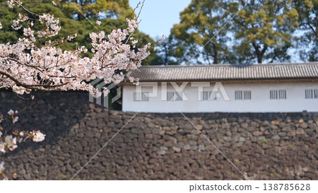 櫻花 櫻花 138785628