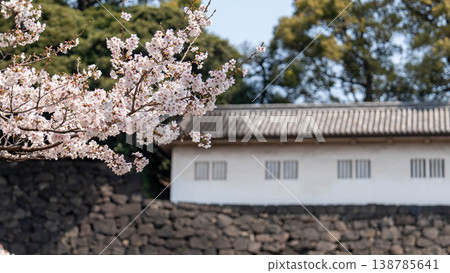 Cherry blossoms Cherry blossoms 138785641