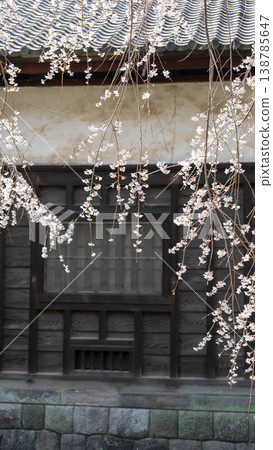 櫻花 櫻花 138785647