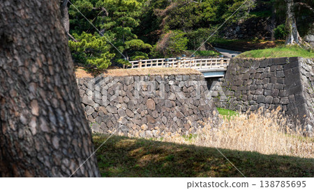 Cherry blossoms 138785695