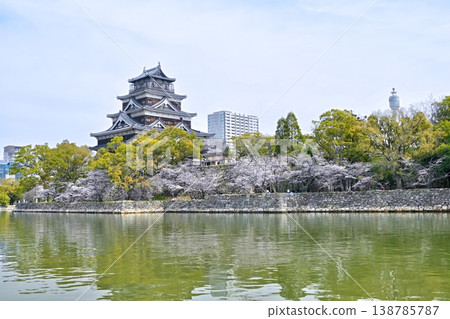 廣島城與櫻花 <2026年3月> 廣島城與櫻花 <2026年3月> 138785787