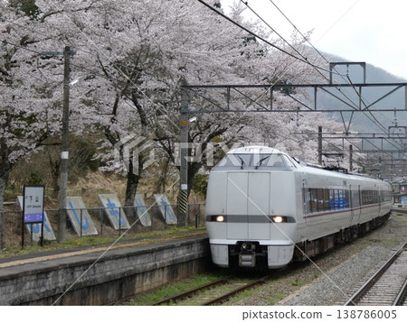 山陰本線下山站的櫻花與特快列車城崎號 山陰本線下山站的櫻花與特快列車城崎號 138786005