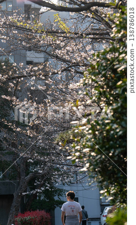 東京城市景觀 東京城市景觀 138786018