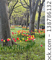 花卉公園 138786132