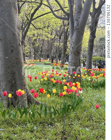 花卉公園 138786132