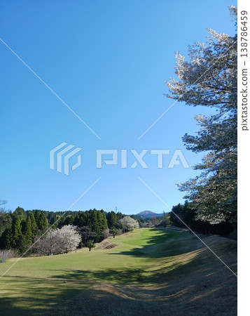 Springtime golf course with cherry blossoms and stunning mountain scenery [Blue sky, nature, landscape] 138786459