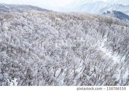 山坡上覆蓋著一層銀色的霜林。 138786550