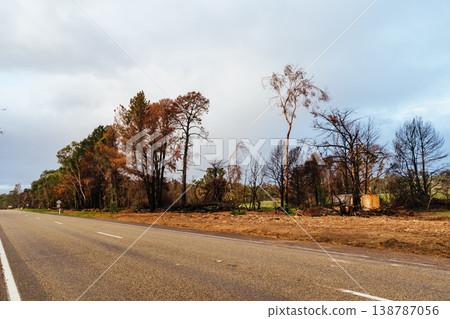 Longwood Bushfire Damage in Gobur Victoria Australia 138787056