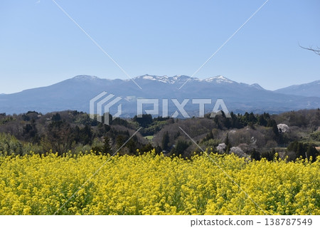Mount Adatara and rapeseed blossoms 138787549