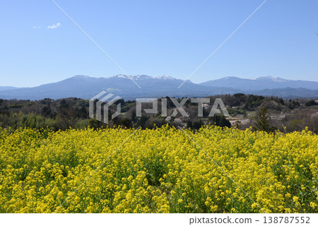 Mount Adatara and rapeseed blossoms 138787552