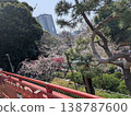 Ueno Park Cherry Blossom Festival: A lively scene of cherry blossom viewing under the full bloom of cherry trees and lanterns. 138787600