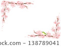 手繪水彩風格櫻花插畫邊框 138789041