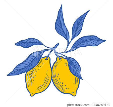 Amalfi Lemon Branch Vector Isolated Illustration of Yellow Fruits, Blue Leaves Summer Citrus Illustration, Hand Drawn Botanical Foliage Sicilian Italian Mediterranean Design Element for Laser Cutting Amalfi Lemon Branch Vector Isolated Illustration of Yellow Fruits, Blue Leaves Summer Citrus Illustration, Hand Drawn Botanical Foliage Sicilian Italian Mediterranean Design Element for Laser Cutting 138789180
