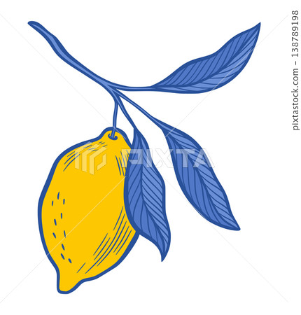 Amalfi Lemon Branch Vector Isolated Illustration of Yellow Fruit, Blue Leaves Summer Citrus Illustration, Hand Drawn Botanical Foliage Sicilian Italian Mediterranean Design Element for Laser Cutting Amalfi Lemon Branch Vector Isolated Illustration of Yellow Fruit, Blue Leaves Summer Citrus Illustration, Hand Drawn Botanical Foliage Sicilian Italian Mediterranean Design Element for Laser Cutting 138789198