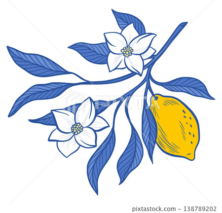 Amalfi Lemon Branch Vector Isolated Illustration of Yellow Fruit with Flower Blossom, Blue Leaves Summer Citrus Illustration, Hand Drawn Botanical Foliage Sicilian Italian Mediterranean Design Element Amalfi Lemon Branch Vector Isolated Illustration of Yellow Fruit with Flower Blossom, Blue Leaves Summer Citrus Illustration, Hand Drawn Botanical Foliage Sicilian Italian Mediterranean Design Element 138789202