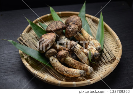 松茸 138789263