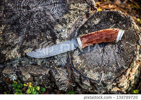 Damascus steel knife with wooden handle on tree stump. 138789720