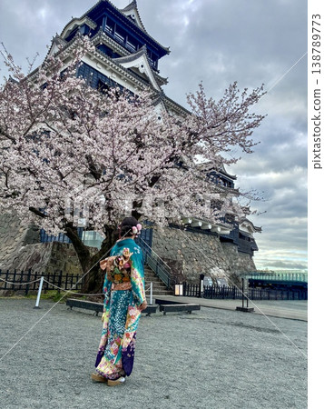 A person in a kimono gazes at the cherry blossoms blooming in front of the castle. 138789773