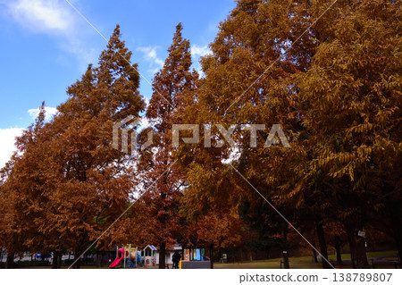 古河綠色公園的秋葉 138789807