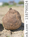 Agricultural material made from Japanese yam 138790024