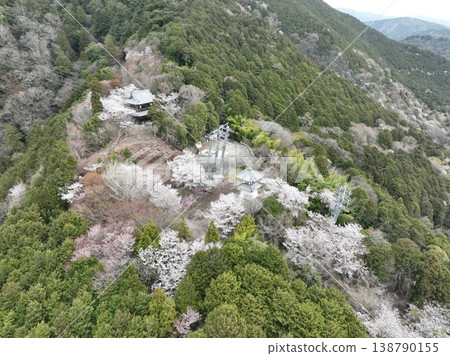 橋倉寺：高聳的燈籠和櫻花－近距離鳥瞰，德島春景 138790155