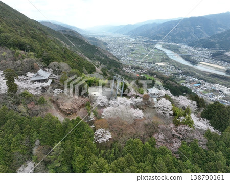 橋倉寺:高聳的燈籠和櫻花-遠景鳥瞰-德島春景 橋倉寺:高聳的燈籠和櫻花-遠景鳥瞰-德島春景 138790161