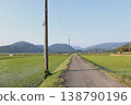 A single road cutting through the countryside and utility poles 138790196