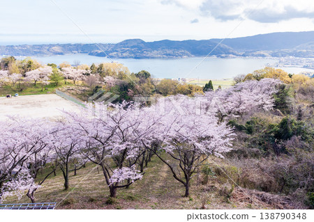 春日的大平山公園 138790348