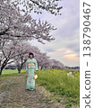 身著和服的人們在櫻花樹下欣賞櫻花。 138790467