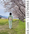 身穿和服的人背對著鏡頭，沿著一排櫻花樹走。 138790468