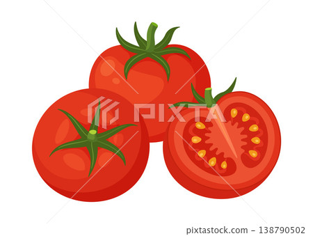 Group of red tomatoes. two whole fruits and one half cut showing seeds. Hand drawn flat style 138790502