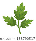 Green tomato leaf branch. Hand drawn trendy flat style isolated on transparent 138790517