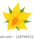 Yellow tomato flower. Hand drawn trendy flat style isolated on transparent  138790533