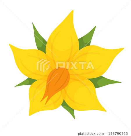 Yellow tomato flower. Hand drawn trendy flat style isolated on transparent  138790533