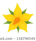 Yellow tomato flower. Hand drawn trendy flat style isolated on transparent  138790549